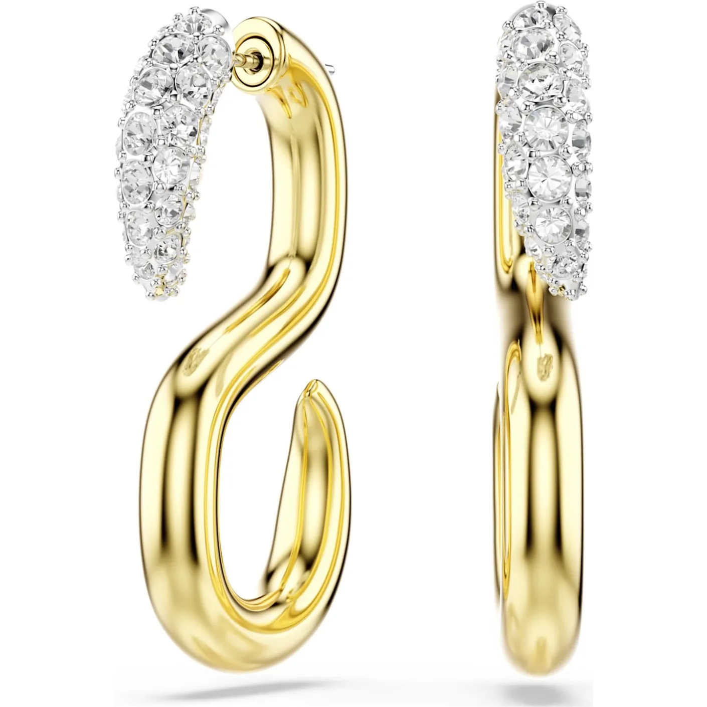 Dextera earrings