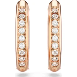 Dextera hoop earrings