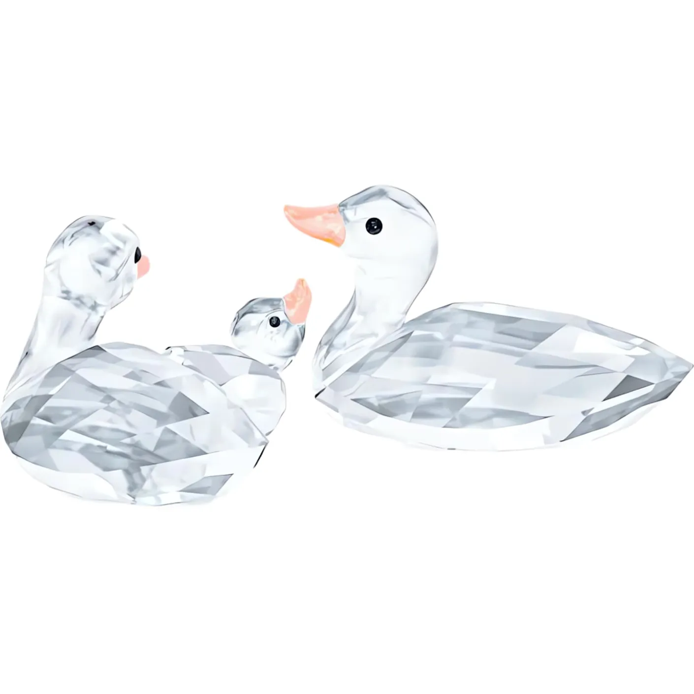 Ducks