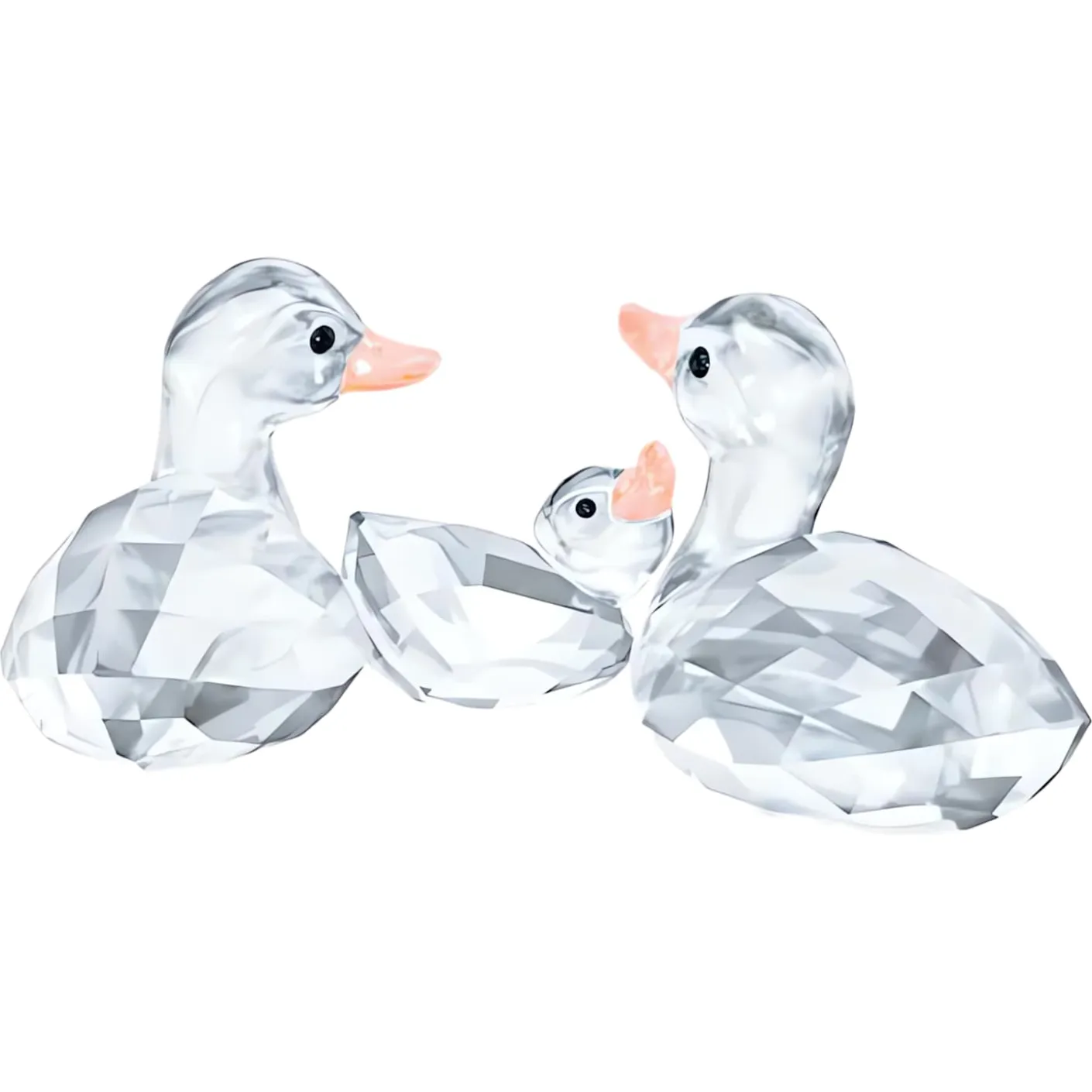 Ducks