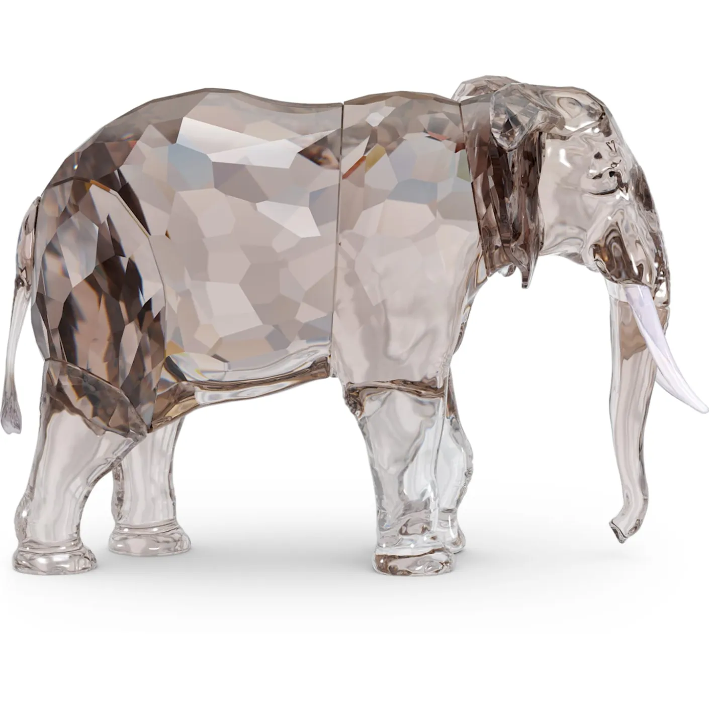 Elegance of Africa SCS Annual Edition 2022 Elephant Fayola