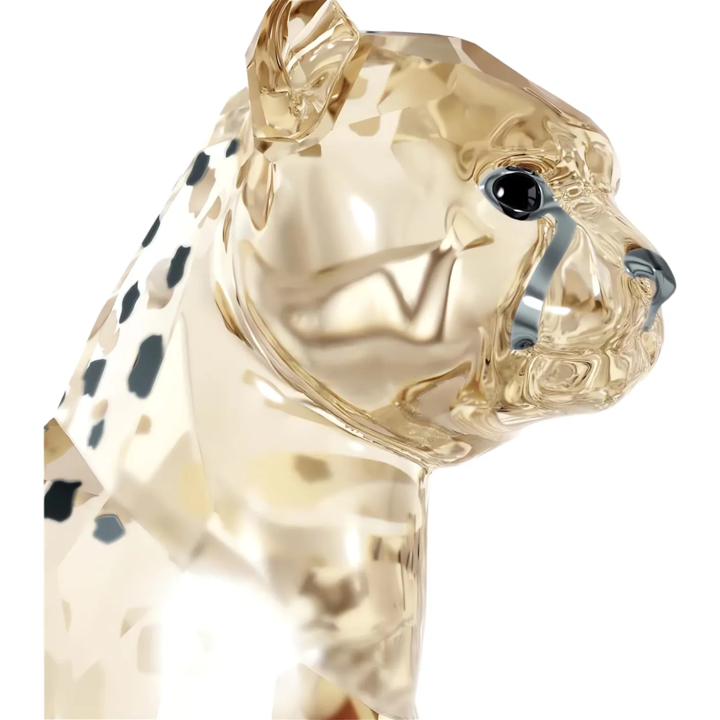 Elegance of Africa SCS Cheetah Baby Jabari