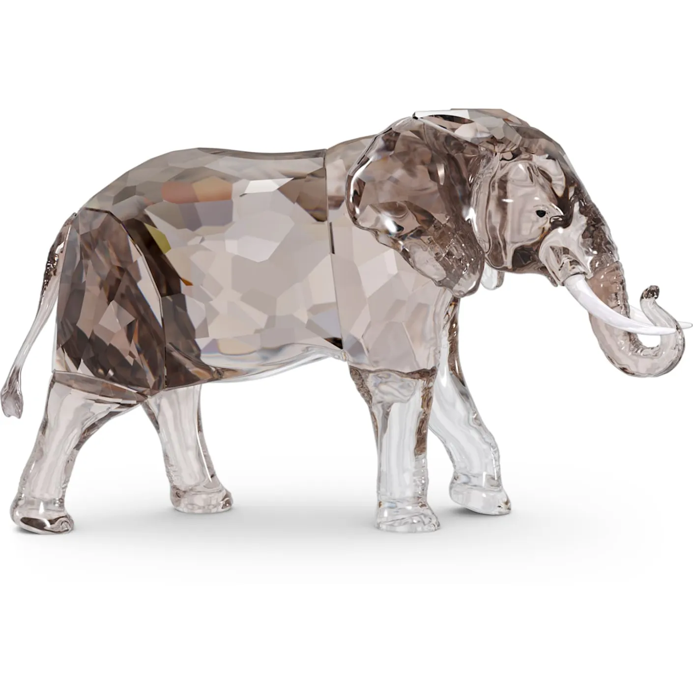 Elegance of Africa SCS Jubilee Edition 2022 Elephant Zena