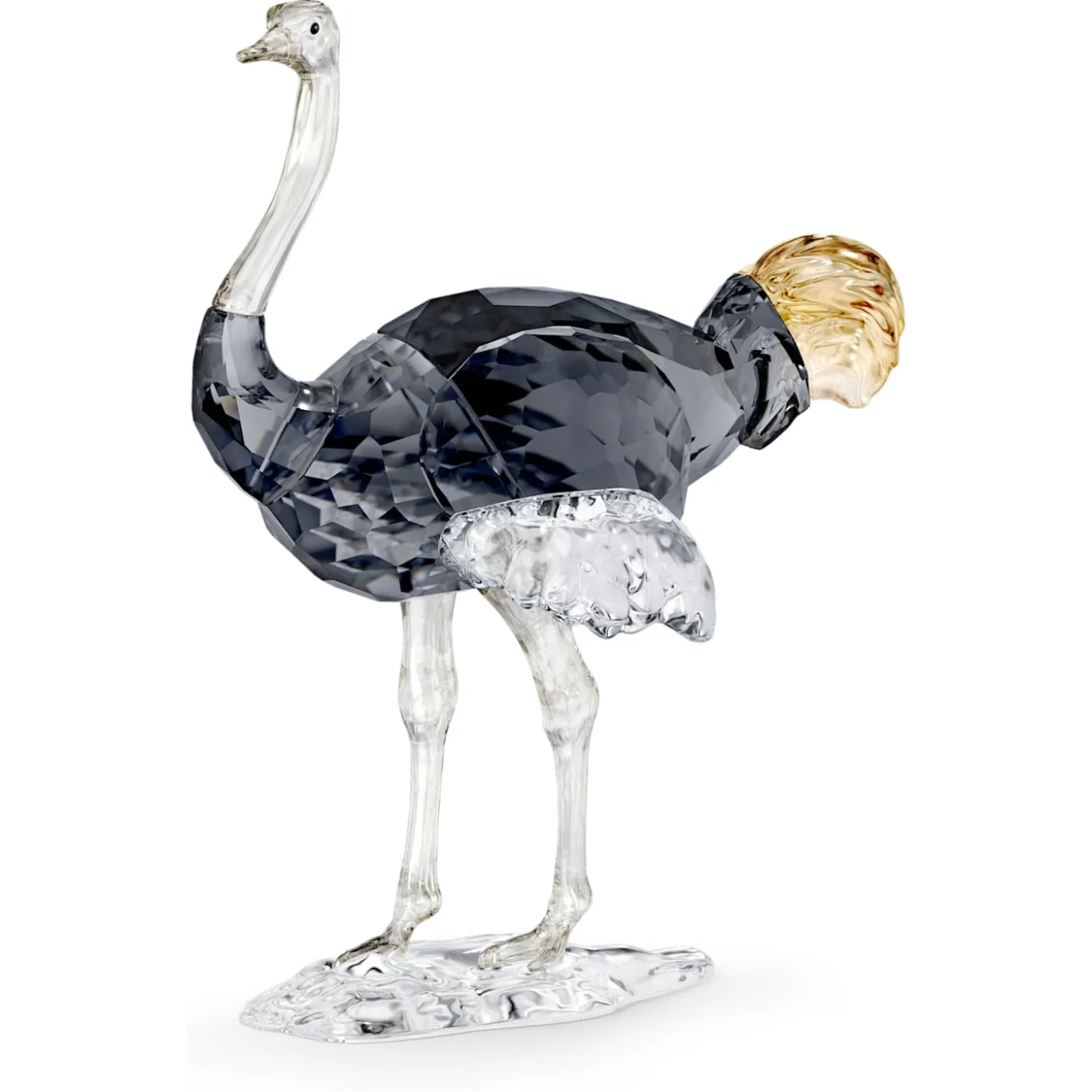 Elegance of Africa SCS Ostrich Makena