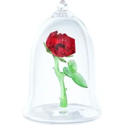 Enchanted Rose