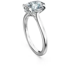 Eternity solitaire ring