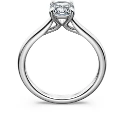 Eternity solitaire ring
