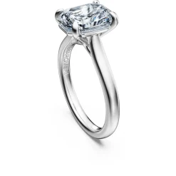 Eternity solitaire ring