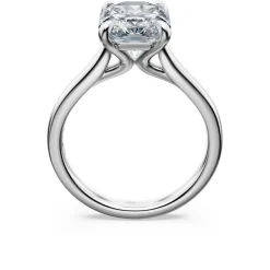 Eternity solitaire ring