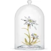Florere 130th Anniversary Bell Jar