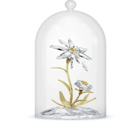 Florere 130th Anniversary Bell Jar