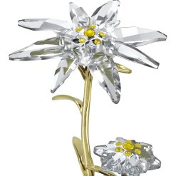 Florere 130th Anniversary Bell Jar