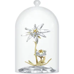 Florere 130th Anniversary Bell Jar