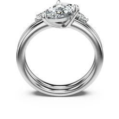 Galaxy ring