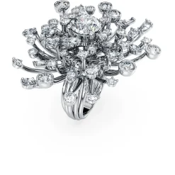 Galaxy ring