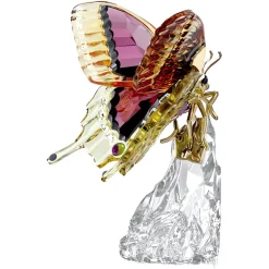 Idyllia Butterfly