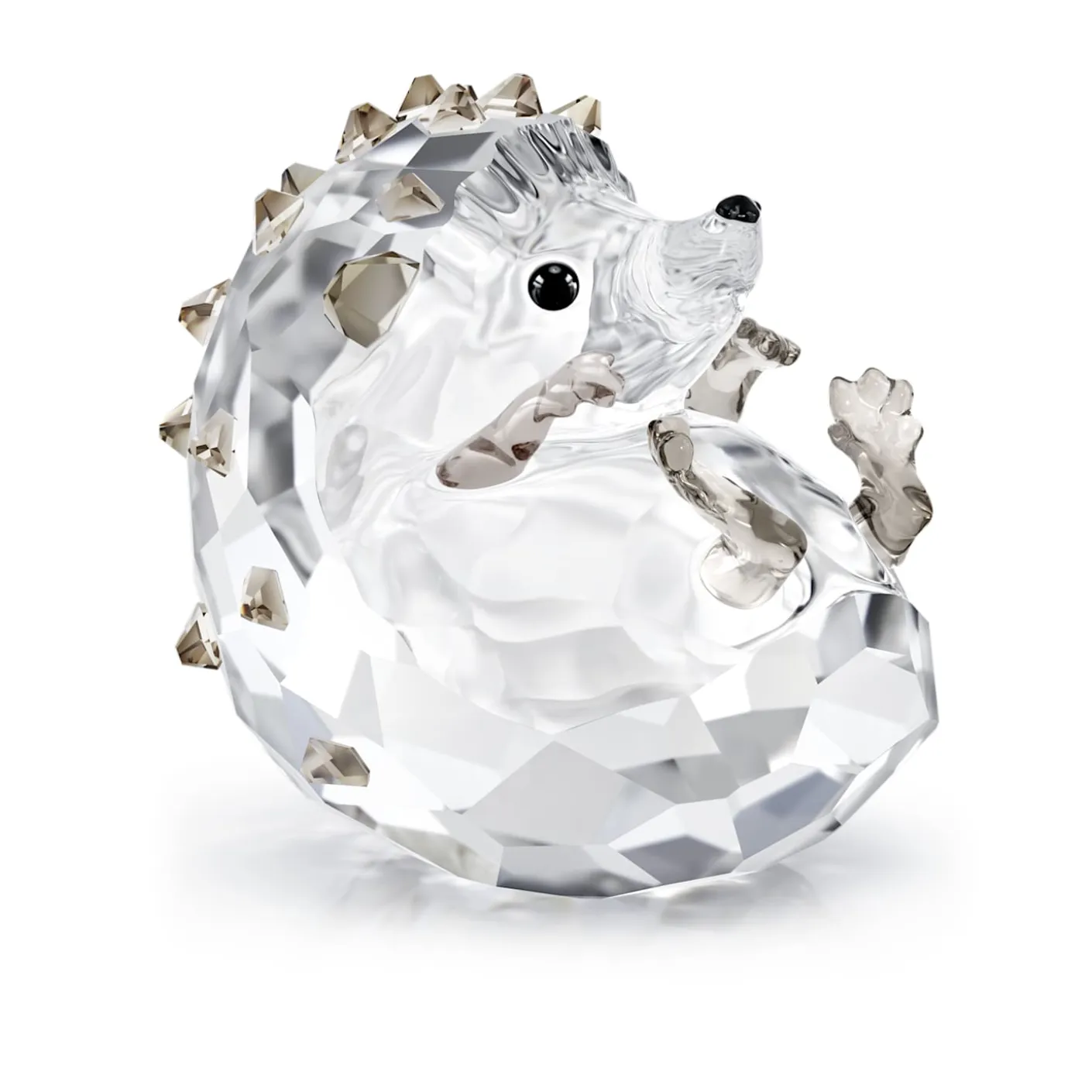 Idyllia Hedgehog