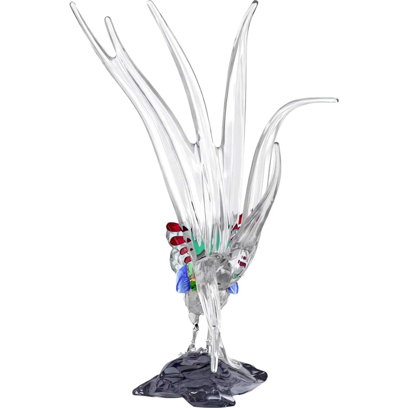 Idyllia SCS Annual Edition 2026 Lady Amherst’s Pheasant