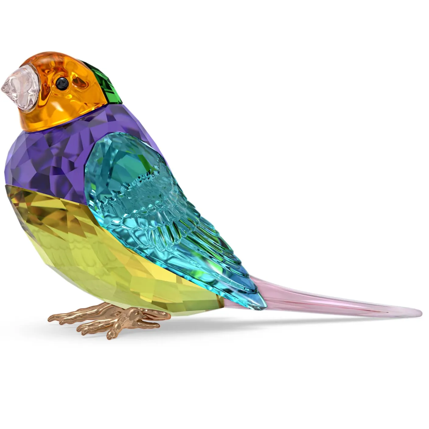 Idyllia SCS Gouldian Finch