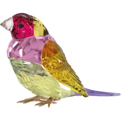 Idyllia SCS Gouldian Finch