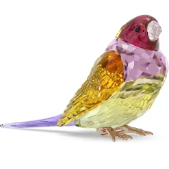 Idyllia SCS Gouldian Finch