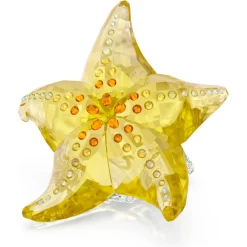 Idyllia SCS Starfish