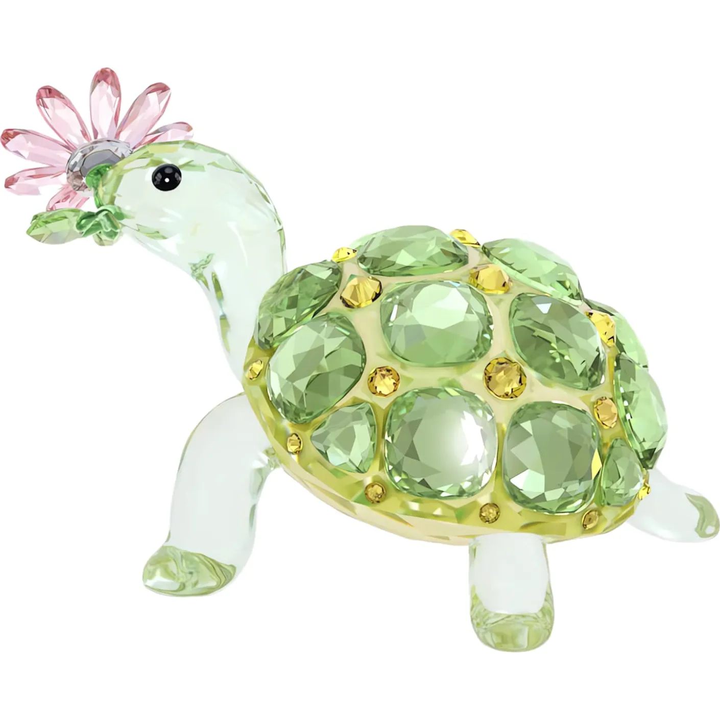 Idyllia Tortoise and Daisy