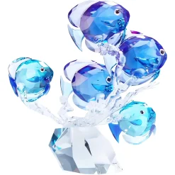School of Fish