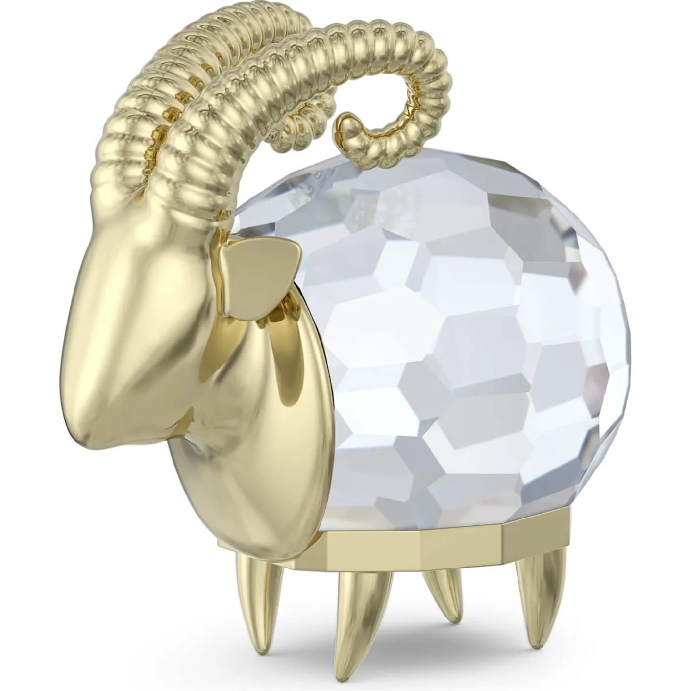 Zodiac Capricorn